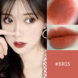 Daimunpu Chestnut Lipstick Lip Glaze Net Red Velvet Matte Six Color Lipstick Lovely Student